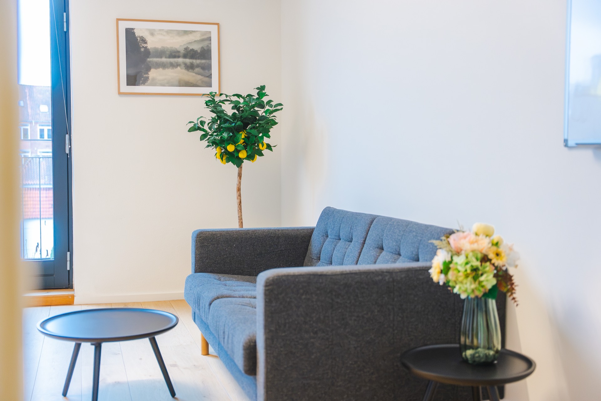 Roligt hjørne med sofa og citrontræ